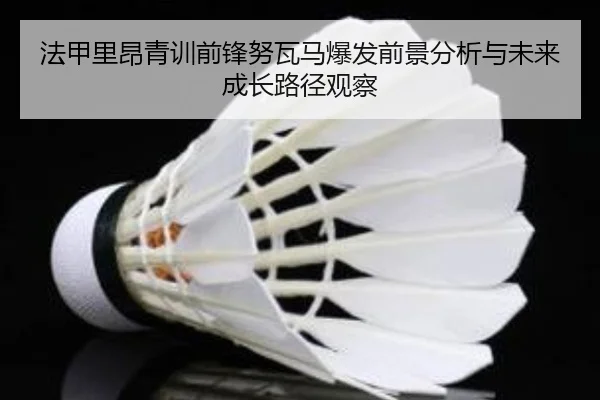 法甲里昂青训前锋努瓦马爆发前景分析与未来成长路径观察