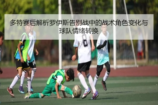 多特赛后解析罗伊斯告别战中的战术角色变化与球队情绪转换